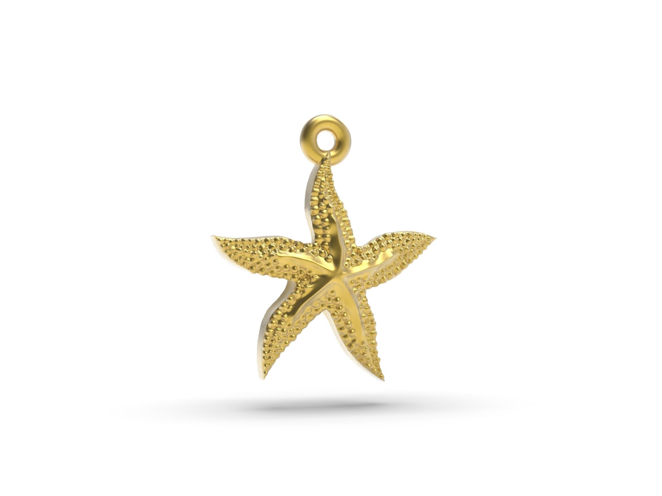 Excellent starfish 3D print model_4