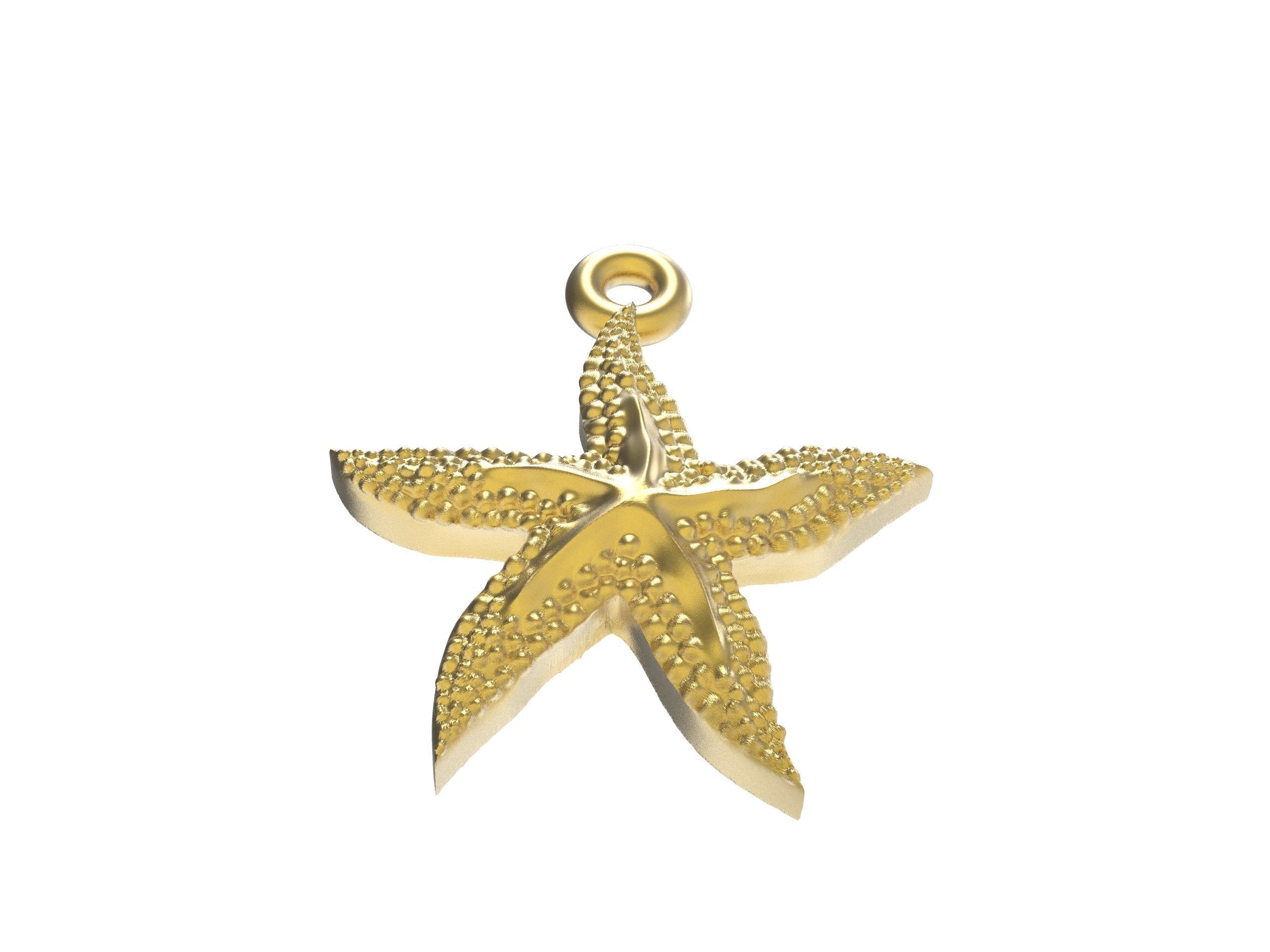 Excellent starfish 3D print model_6