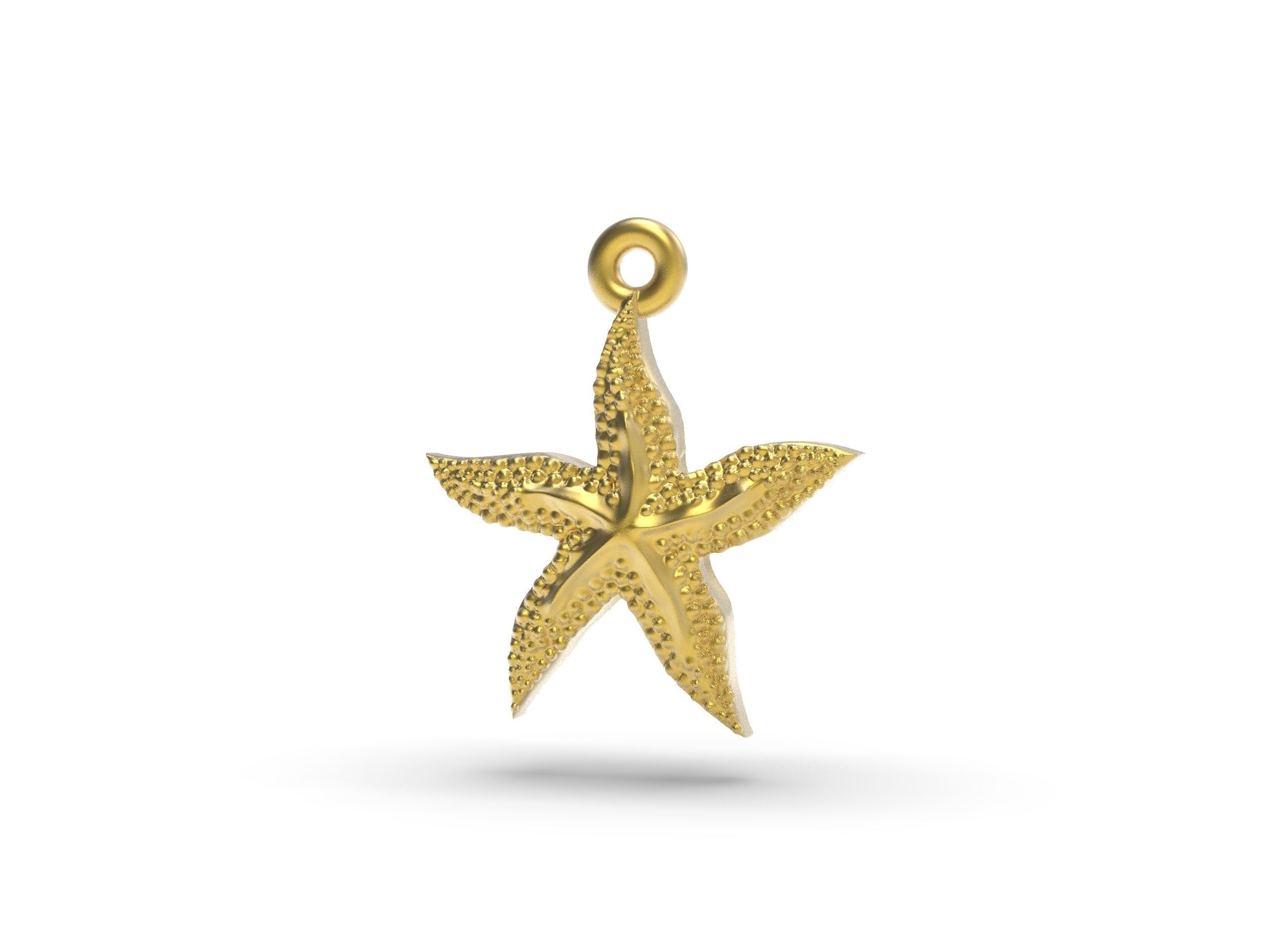 Excellent starfish 3D print model_5