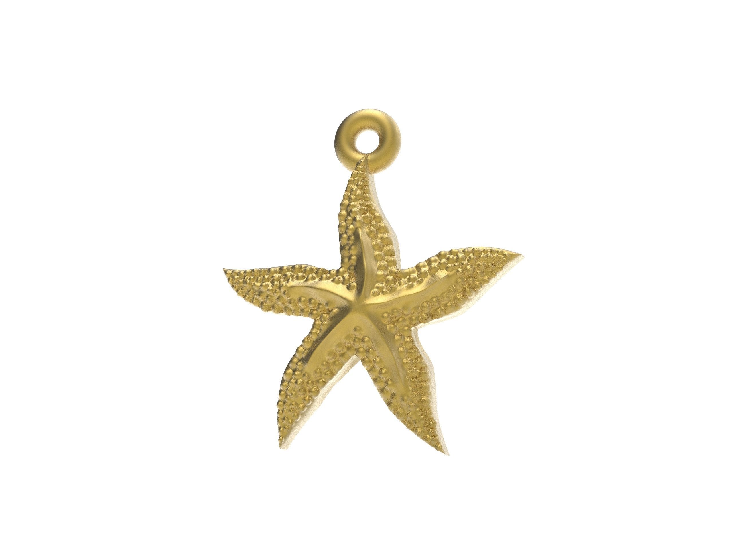 Excellent starfish 3D print model_8