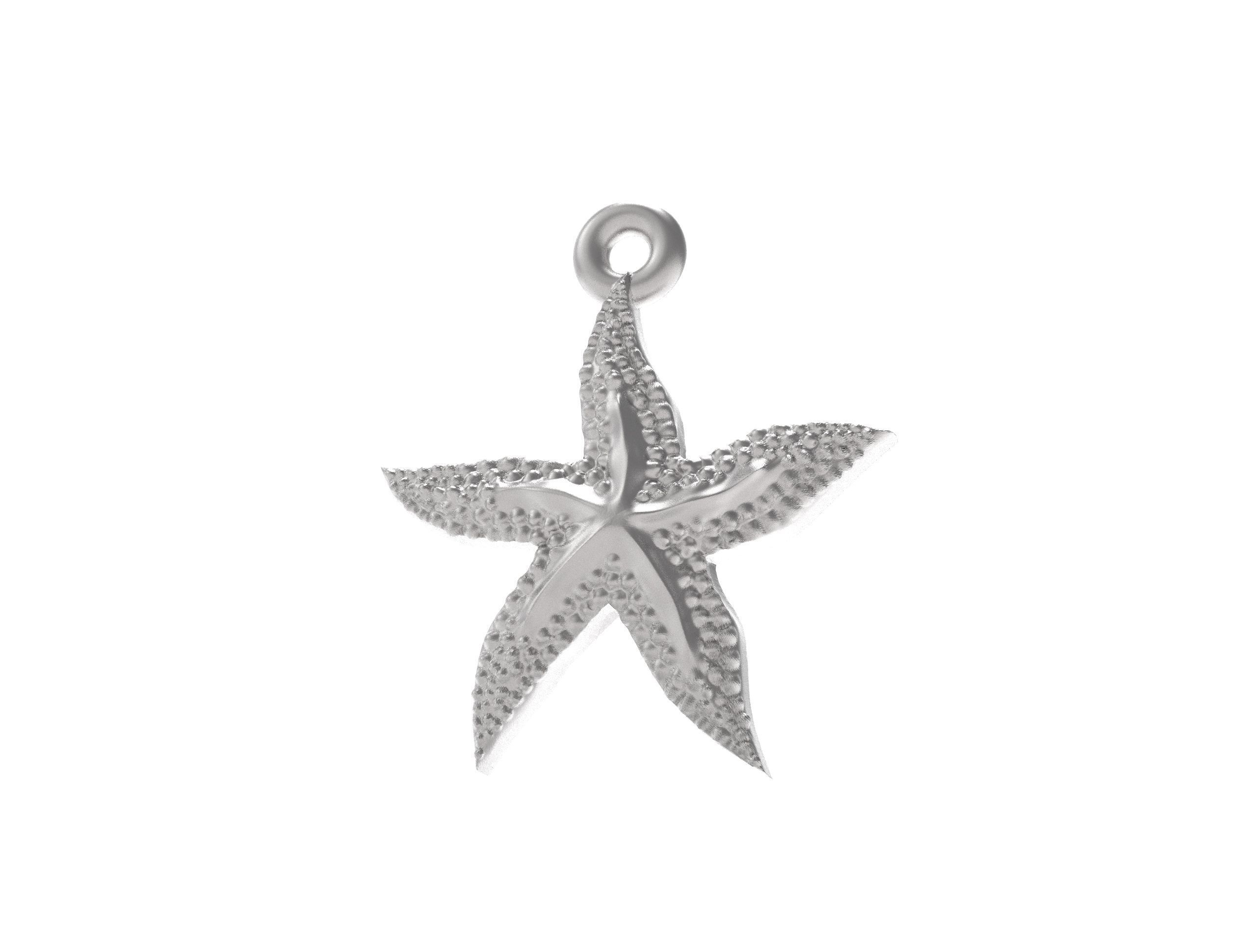 Excellent starfish 3D print model_2