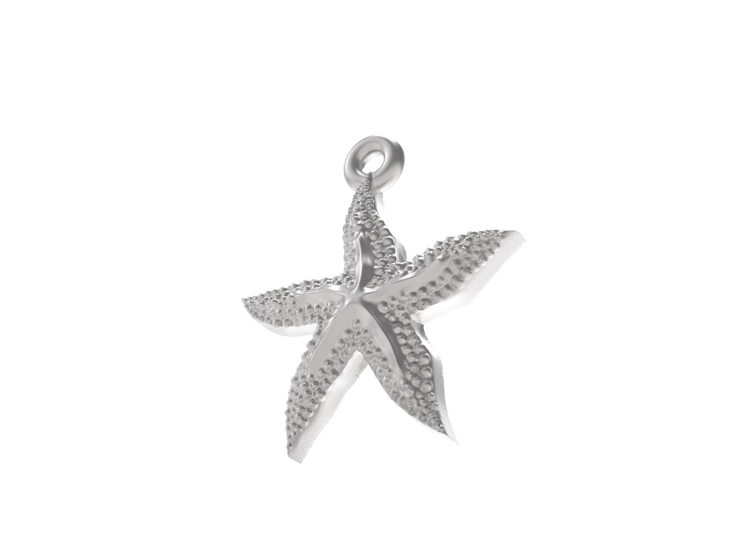 Excellent starfish 3D print model_1