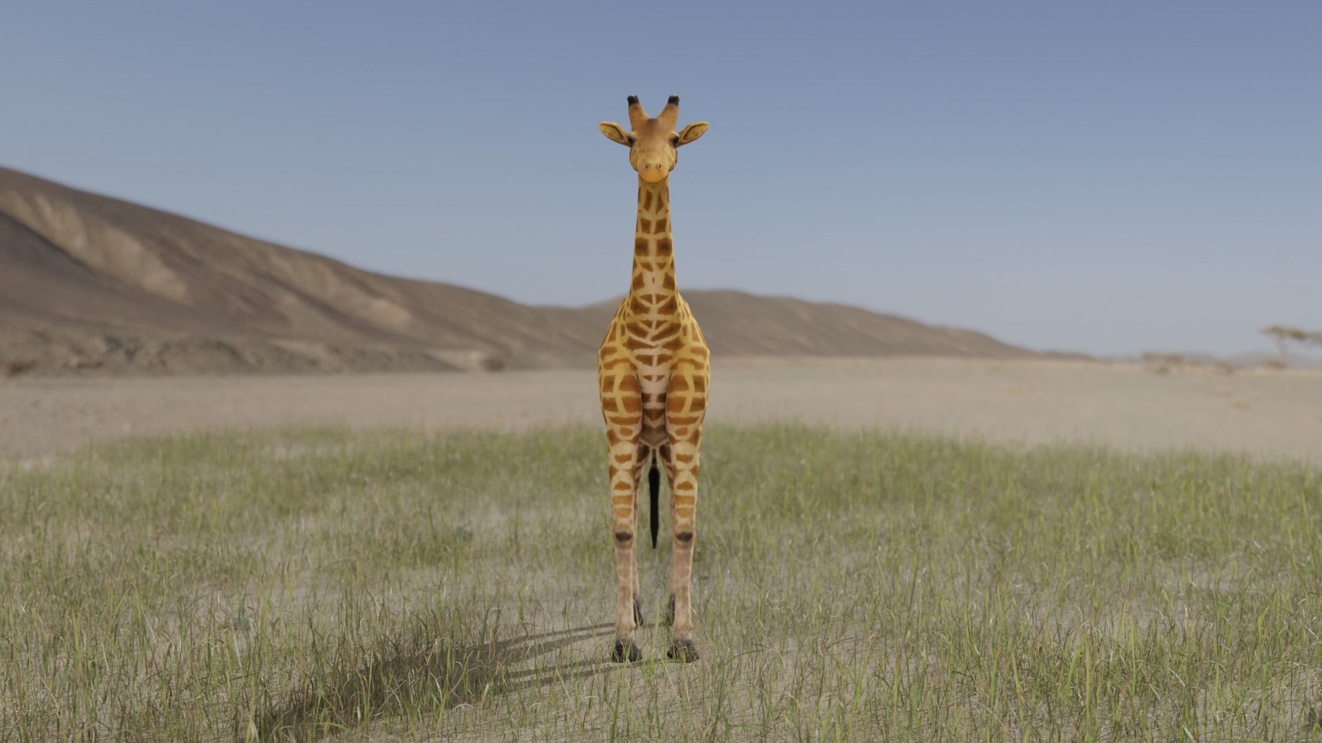 Giraffe Low-poly 3D model_3