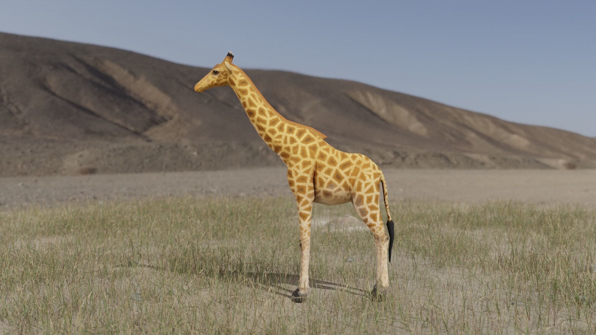 Giraffe Low-poly 3D model_4
