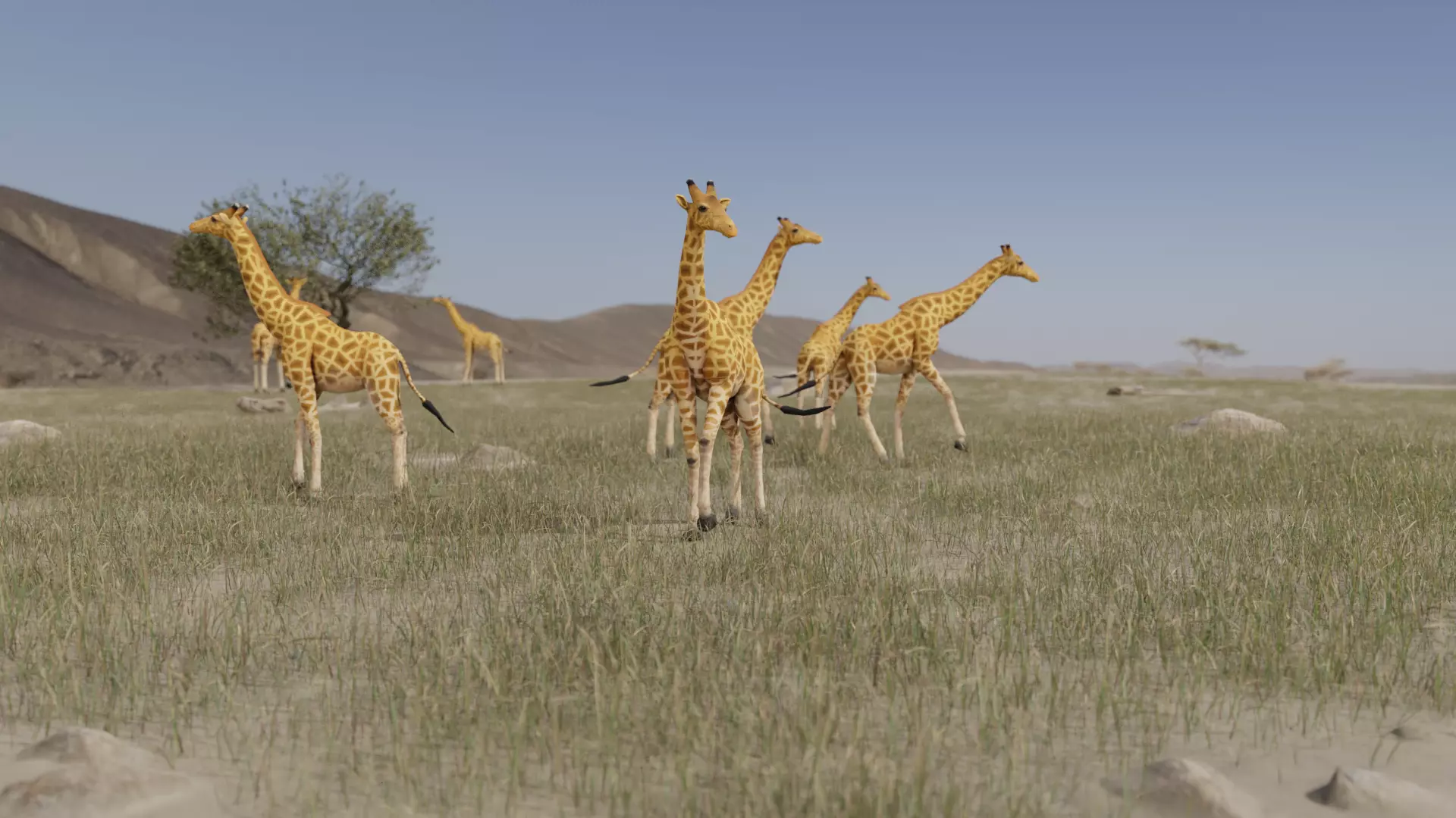 Giraffe Low-poly 3D model_0