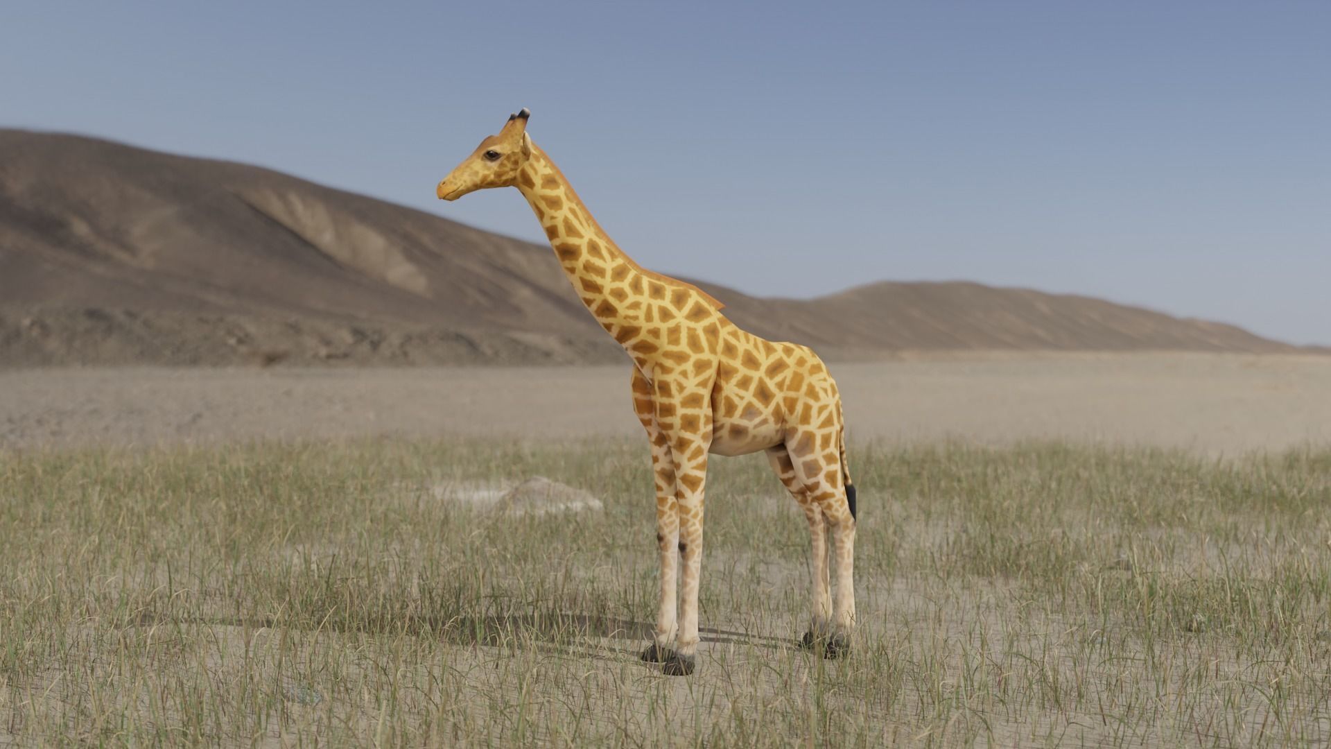 Giraffe Low-poly 3D model_2