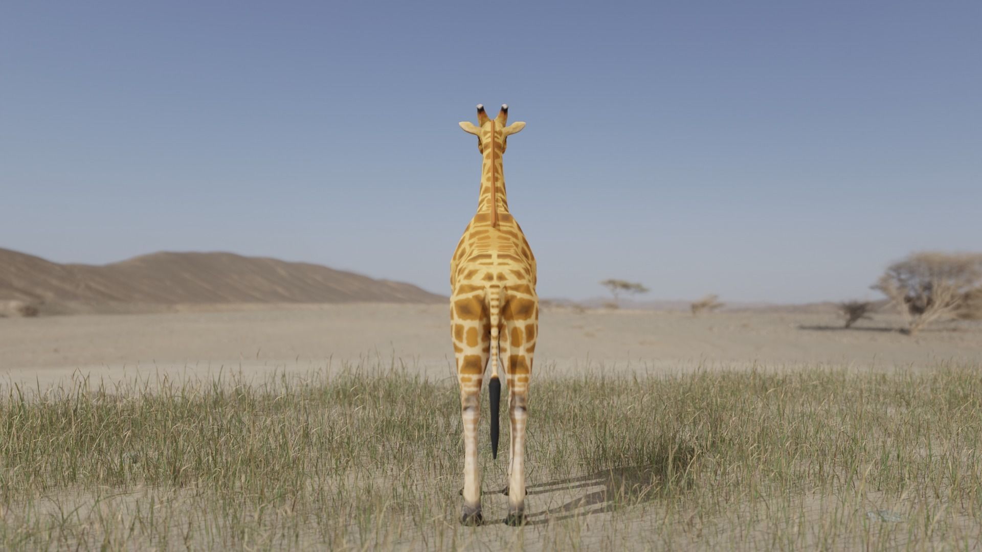 Giraffe Low-poly 3D model_5