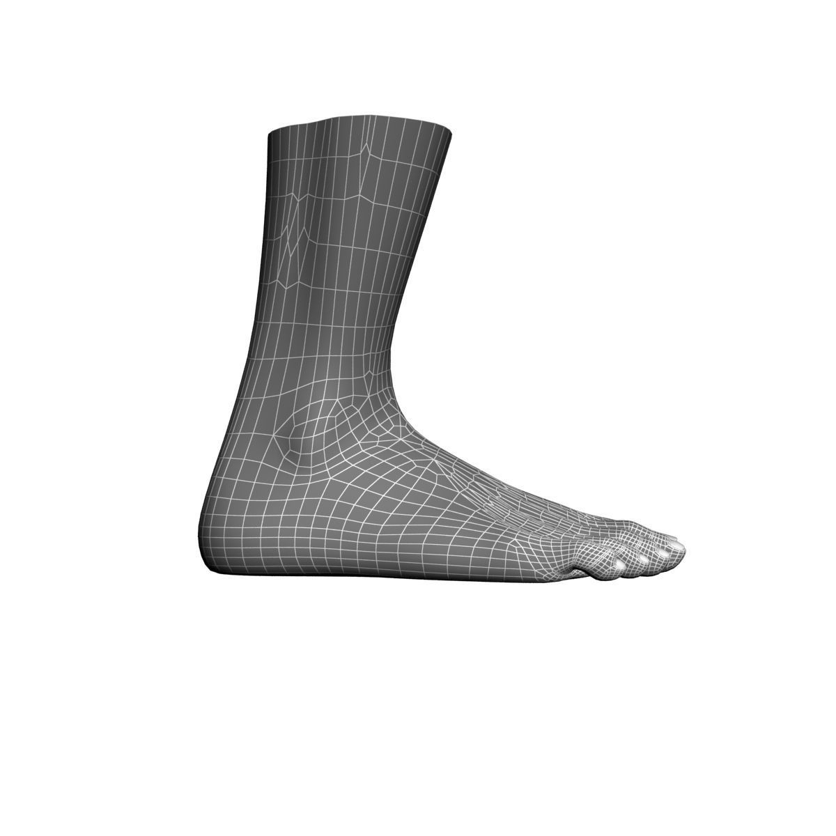Human foot 3D model_6