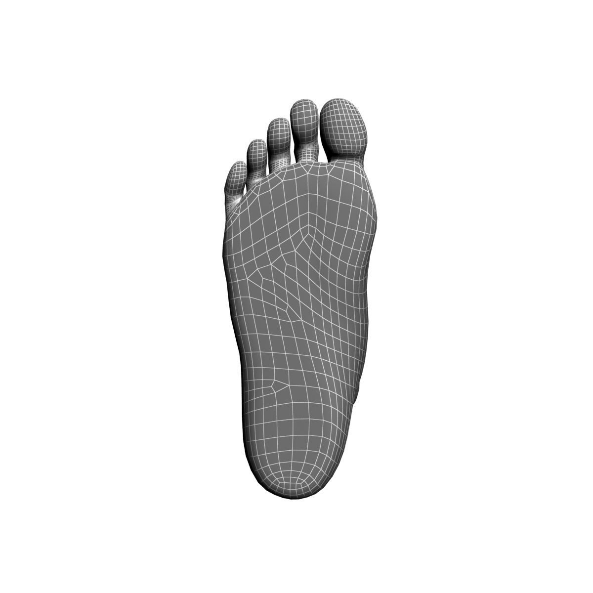 Human foot 3D model_5