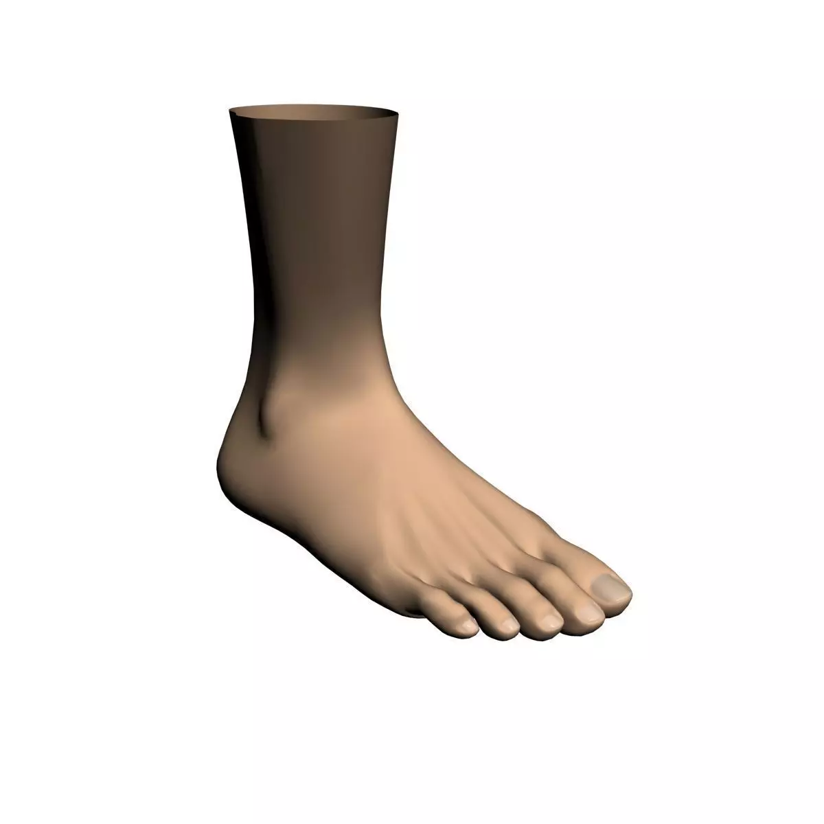 Human foot 3D model_0