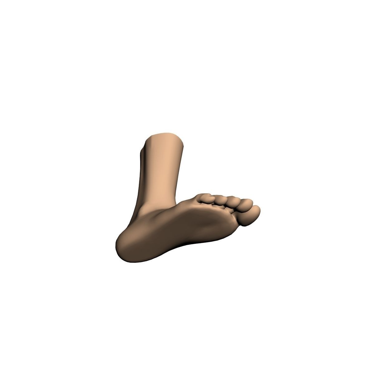 Human foot 3D model_3