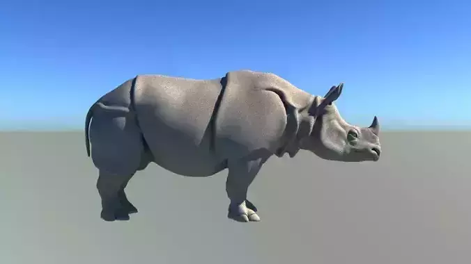 Rhino Body