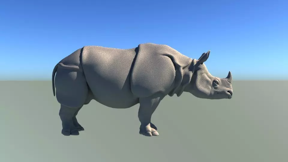 Rhino Body 3D model_0