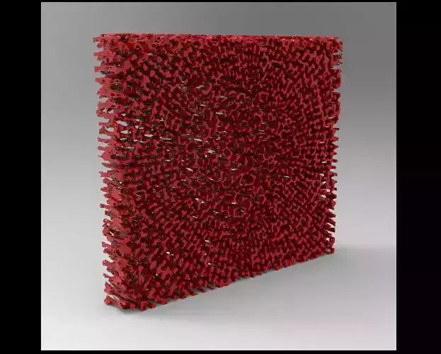 ECHINODERM Spine Center Tissue Scientific Labyrinth Maze