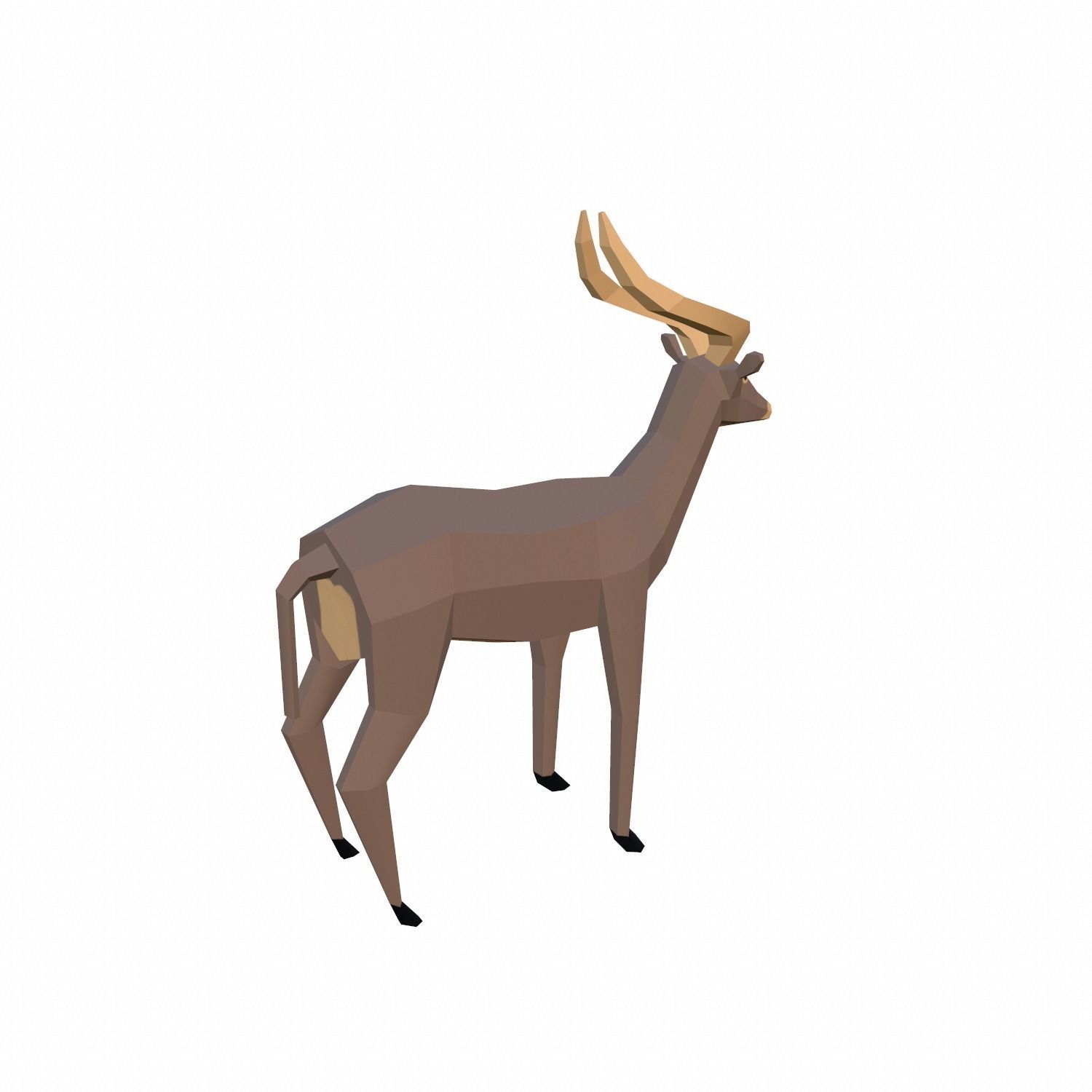 Antelope Low-poly 3D model_7