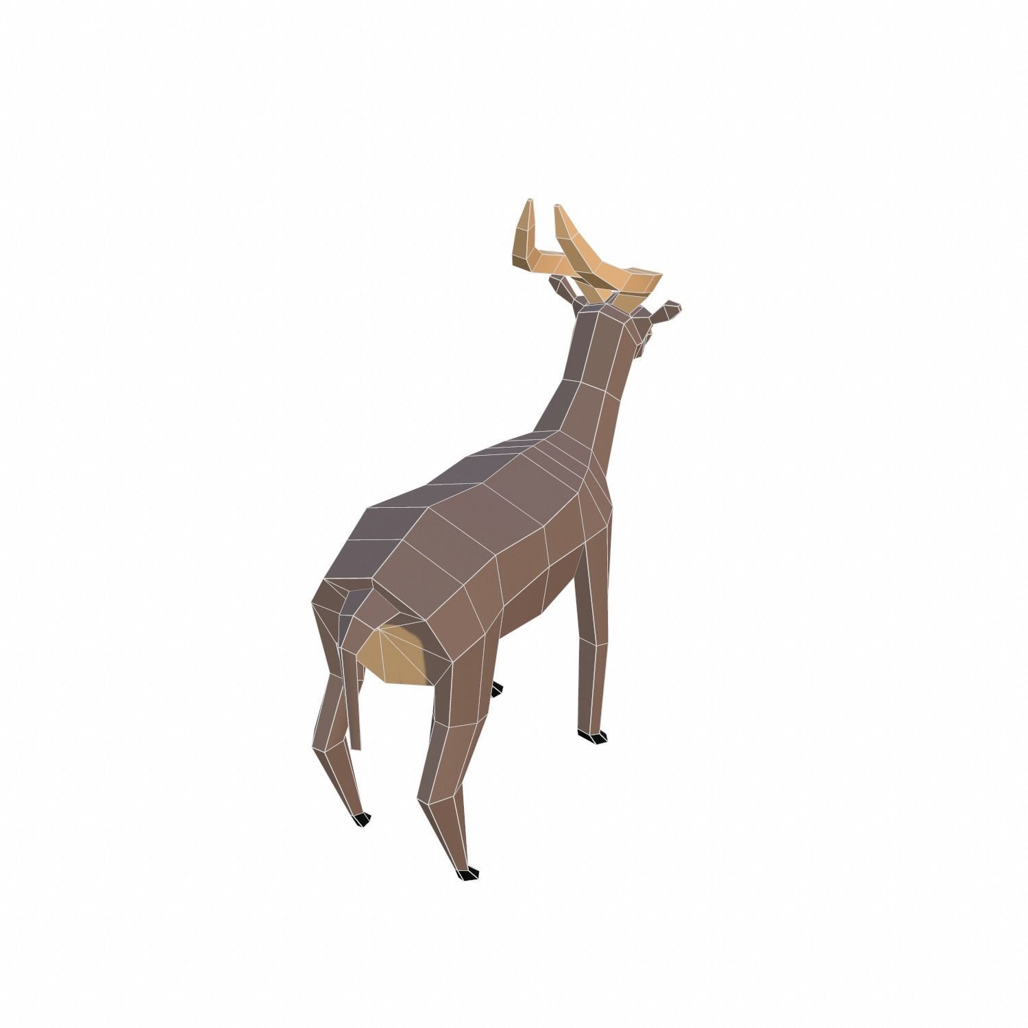 Antelope Low-poly 3D model_13