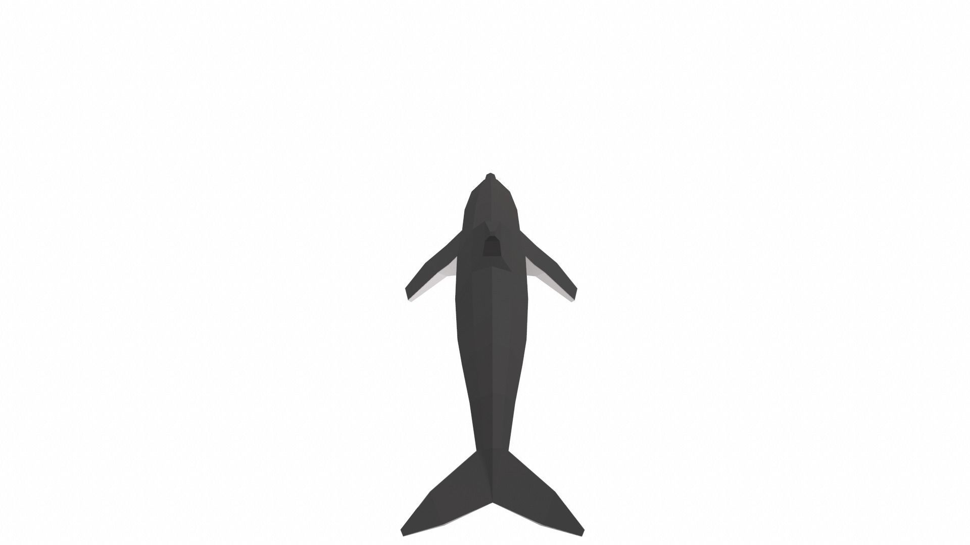 Dolphin Low poly Low-poly 3D model_7
