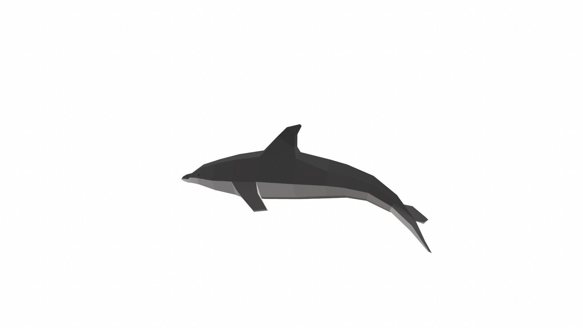 Dolphin Low poly Low-poly 3D model_6