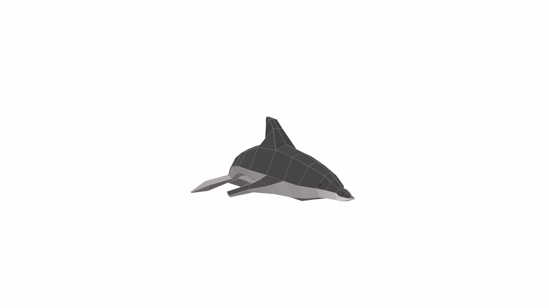 Dolphin Low poly Low-poly 3D model_1