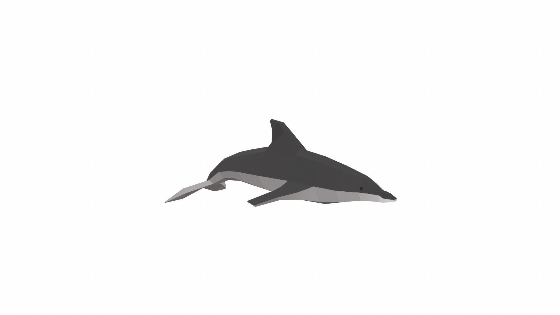 Dolphin Low poly Low-poly 3D model_3