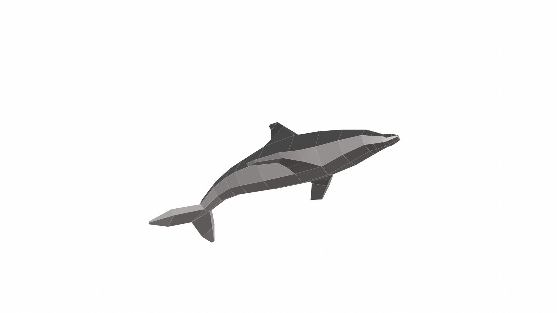 Dolphin Low poly Low-poly 3D model_10
