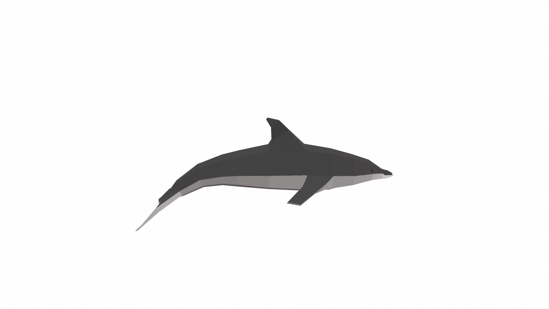 Dolphin Low poly Low-poly 3D model_2