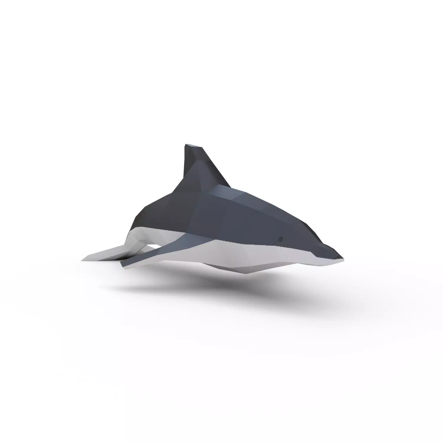 Dolphin Low poly Low-poly 3D model_0