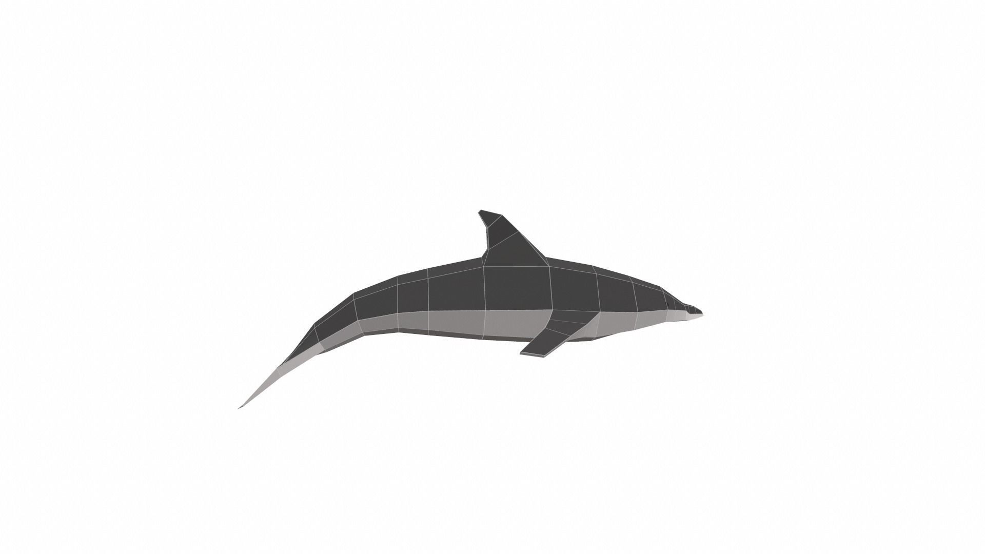 Dolphin Low poly Low-poly 3D model_8