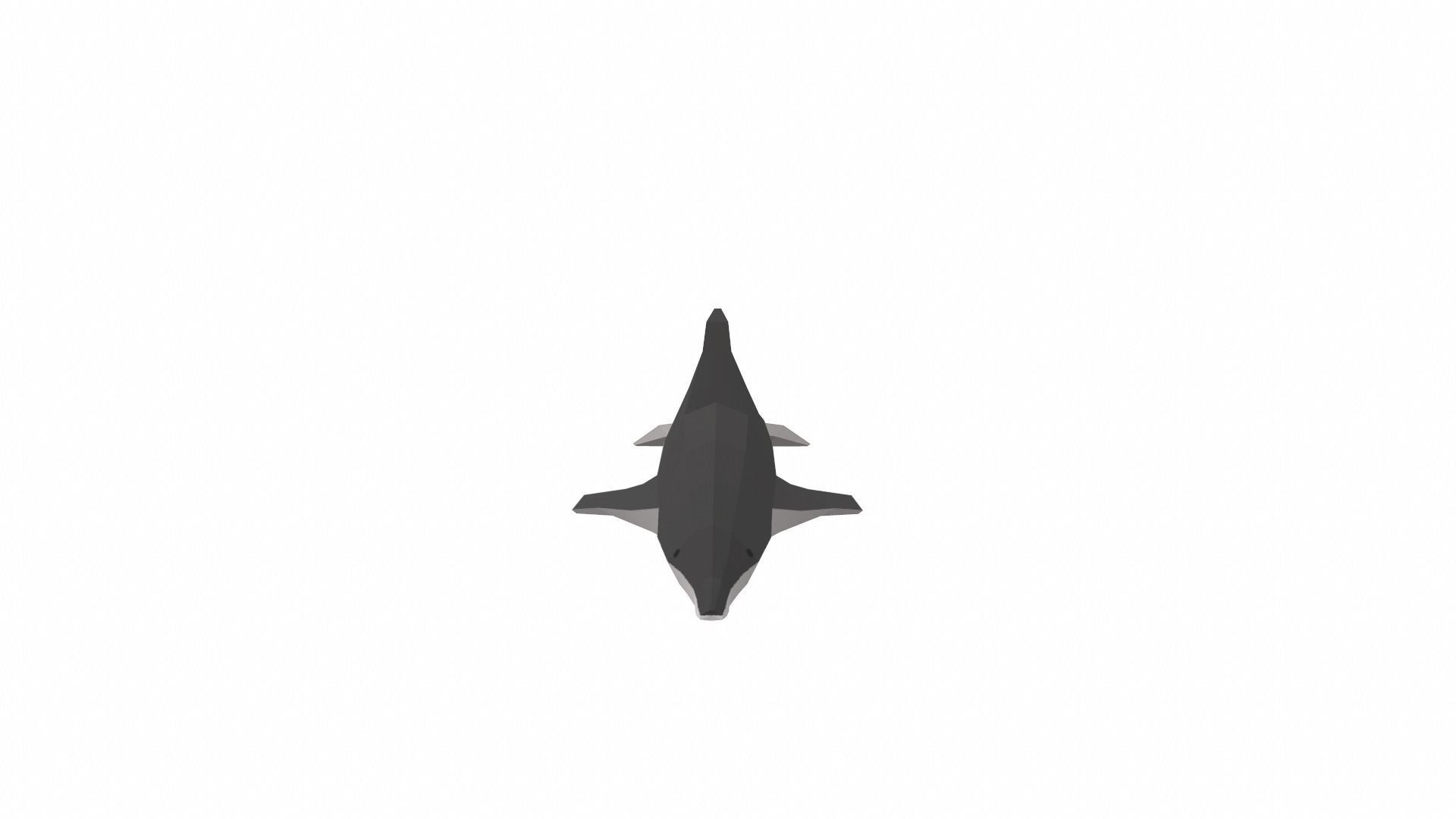Dolphin Low poly Low-poly 3D model_4