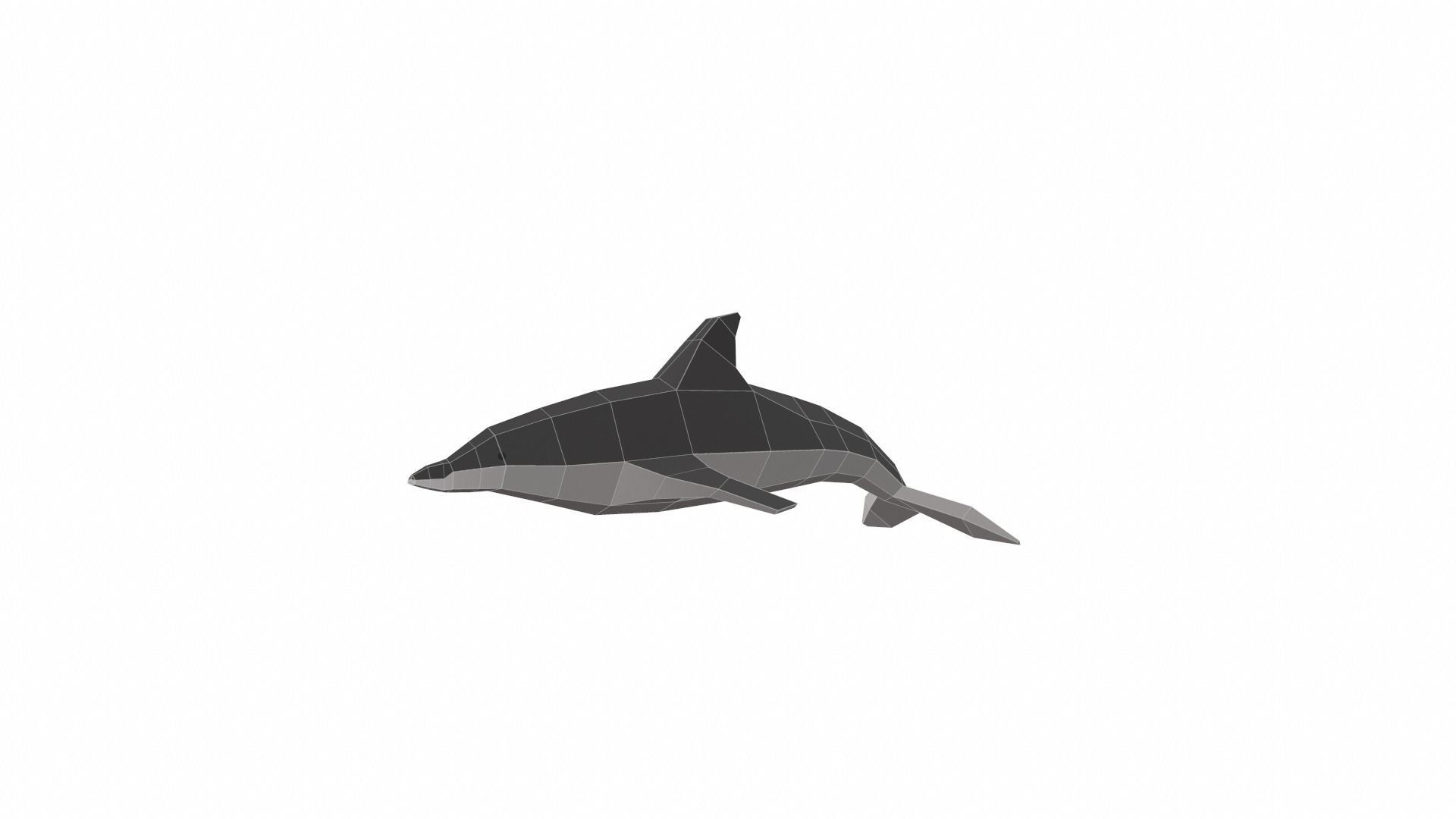 Dolphin Low poly Low-poly 3D model_9