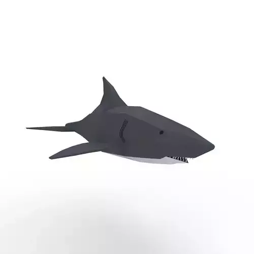 Shark Cartoon