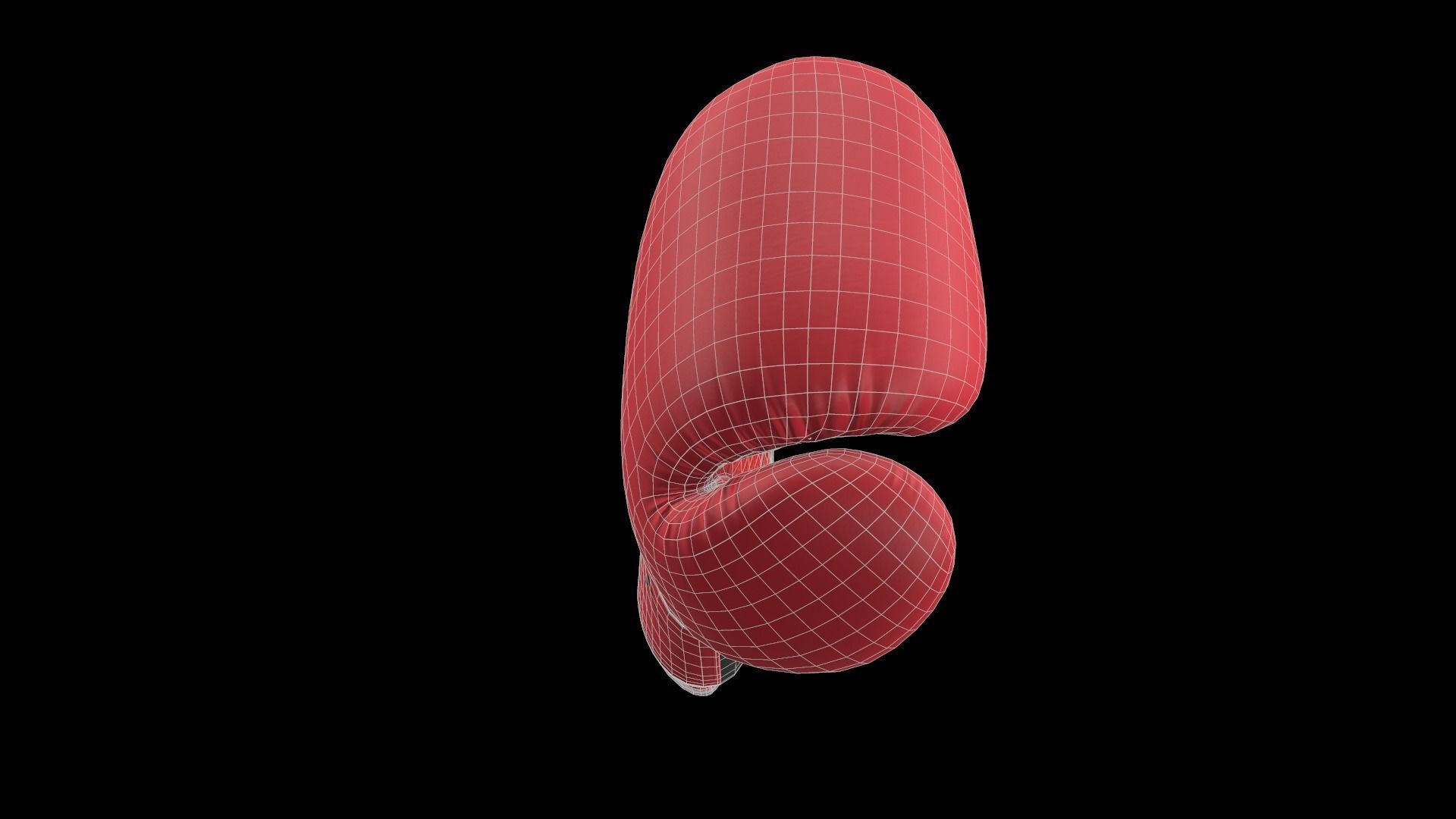 Boxing Gloves 3D model_19