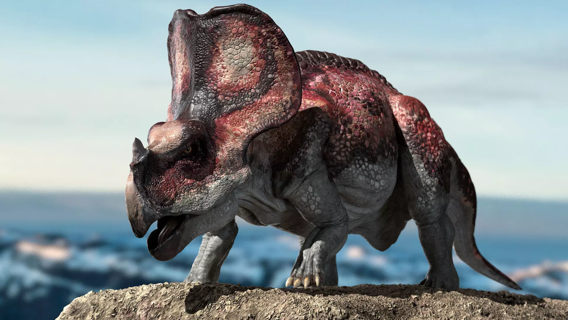model Protoceratops 3D Rigged Low-poly 3D model