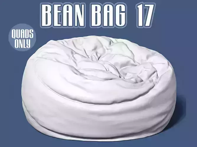 Bean bag seat 17