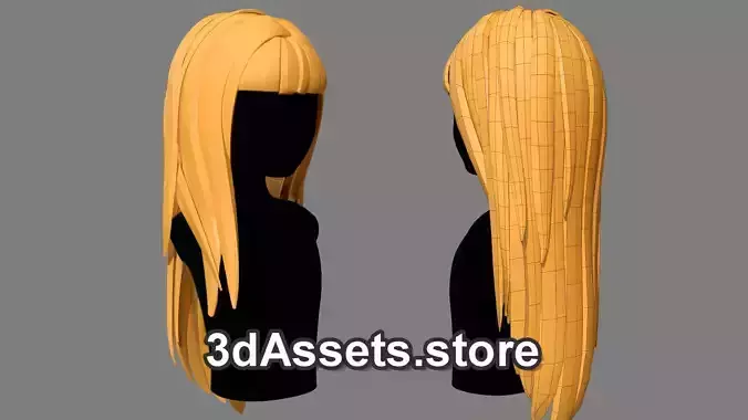 Character - Cartoon - Girl Long Hairs 04