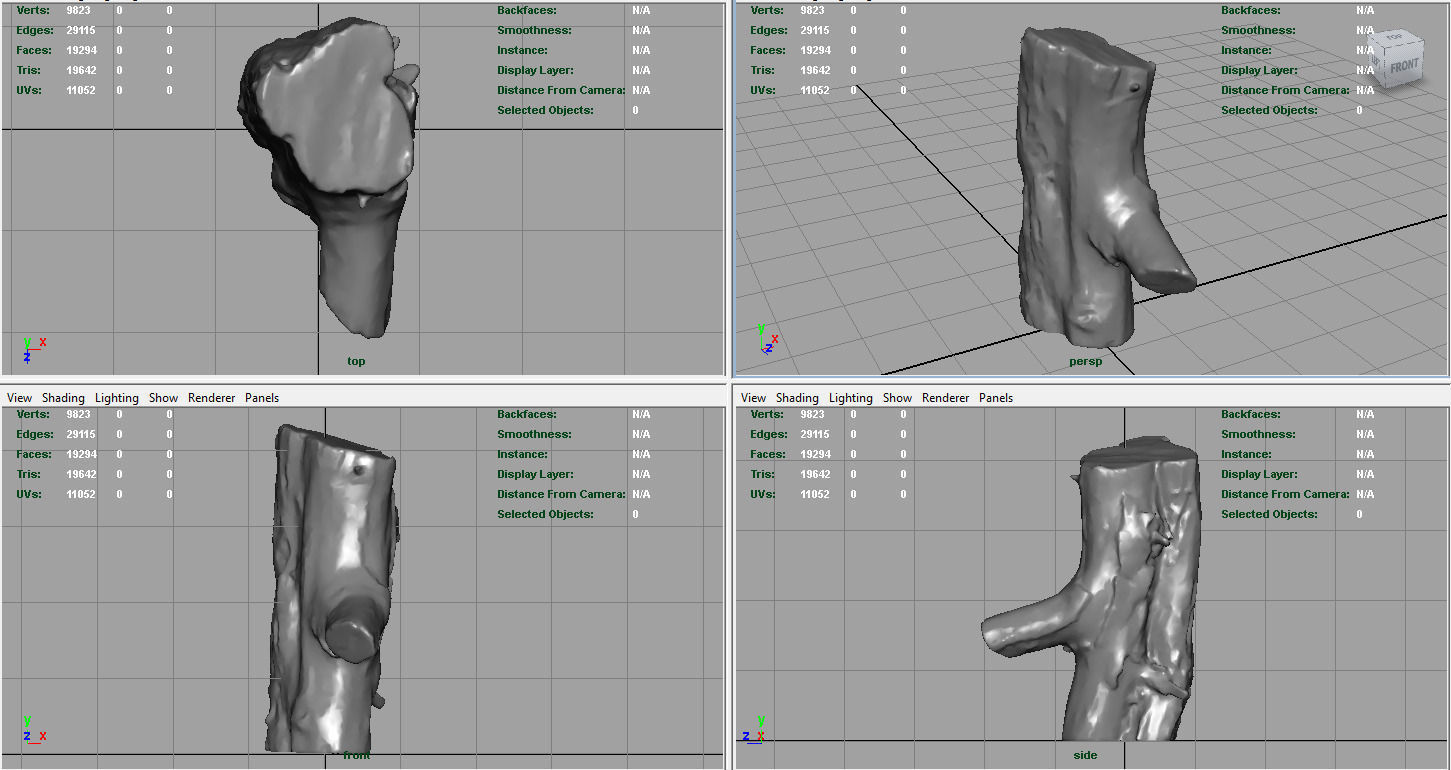 Wood Log 1 Low-poly 3D model_8