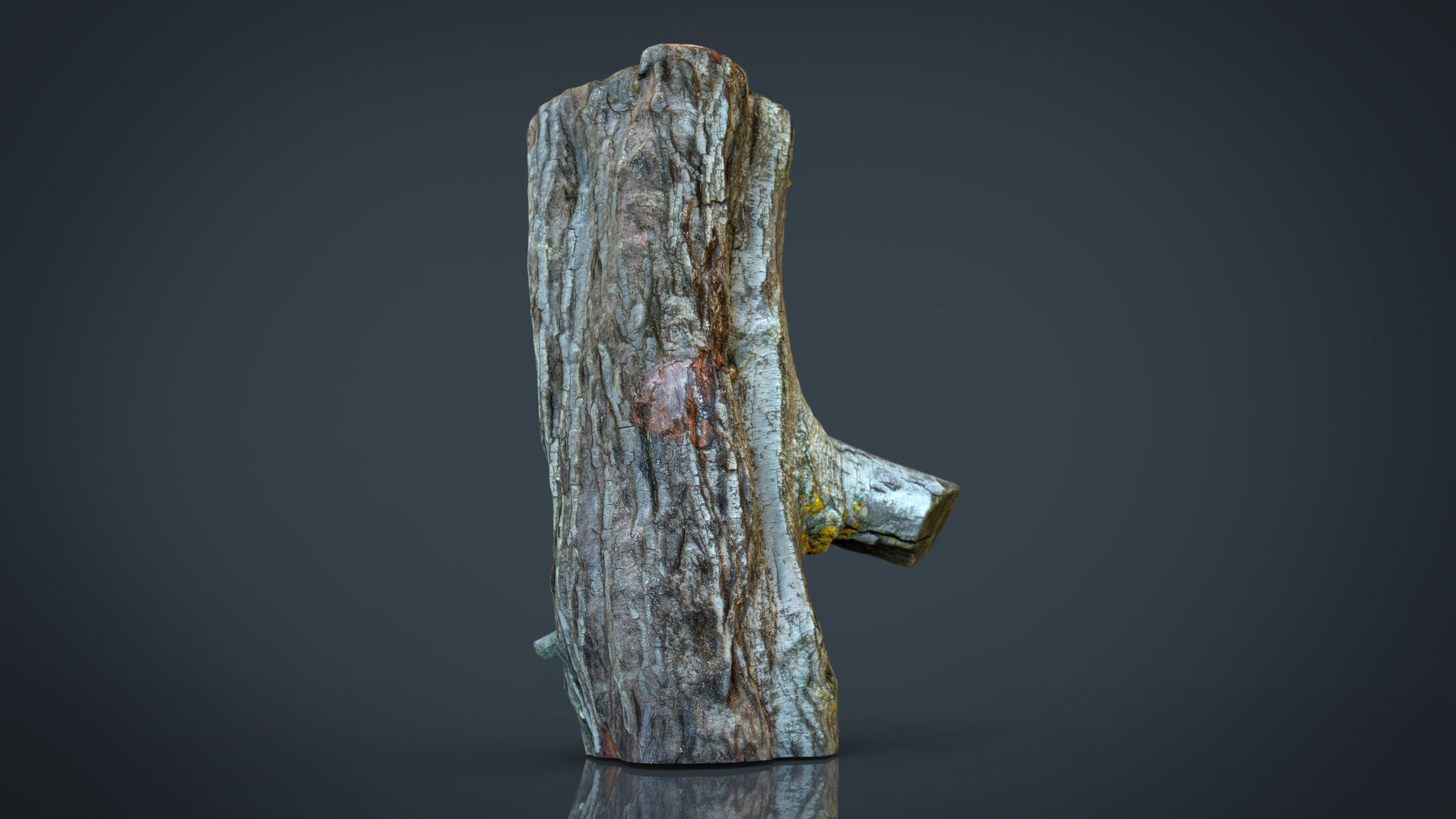 Wood Log 1 Low-poly 3D model_1