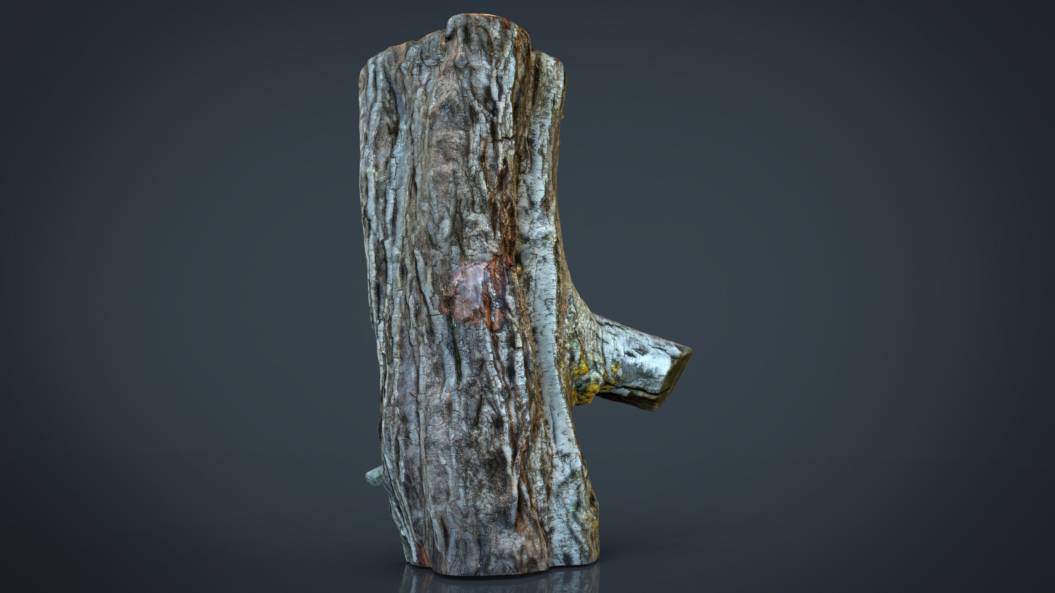 Wood Log 1 Low-poly 3D model_4