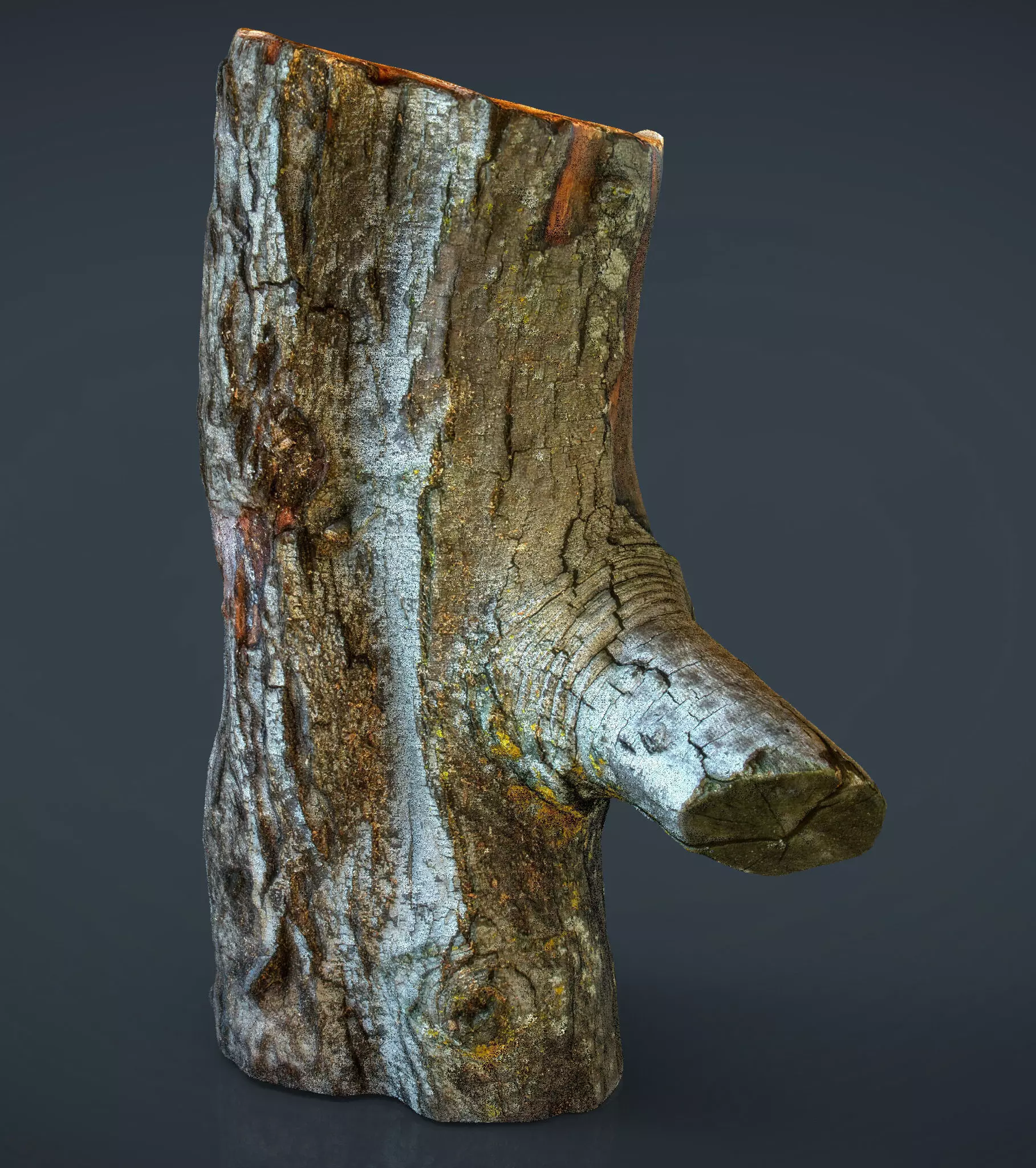 Wood Log 1 Low-poly 3D model_0