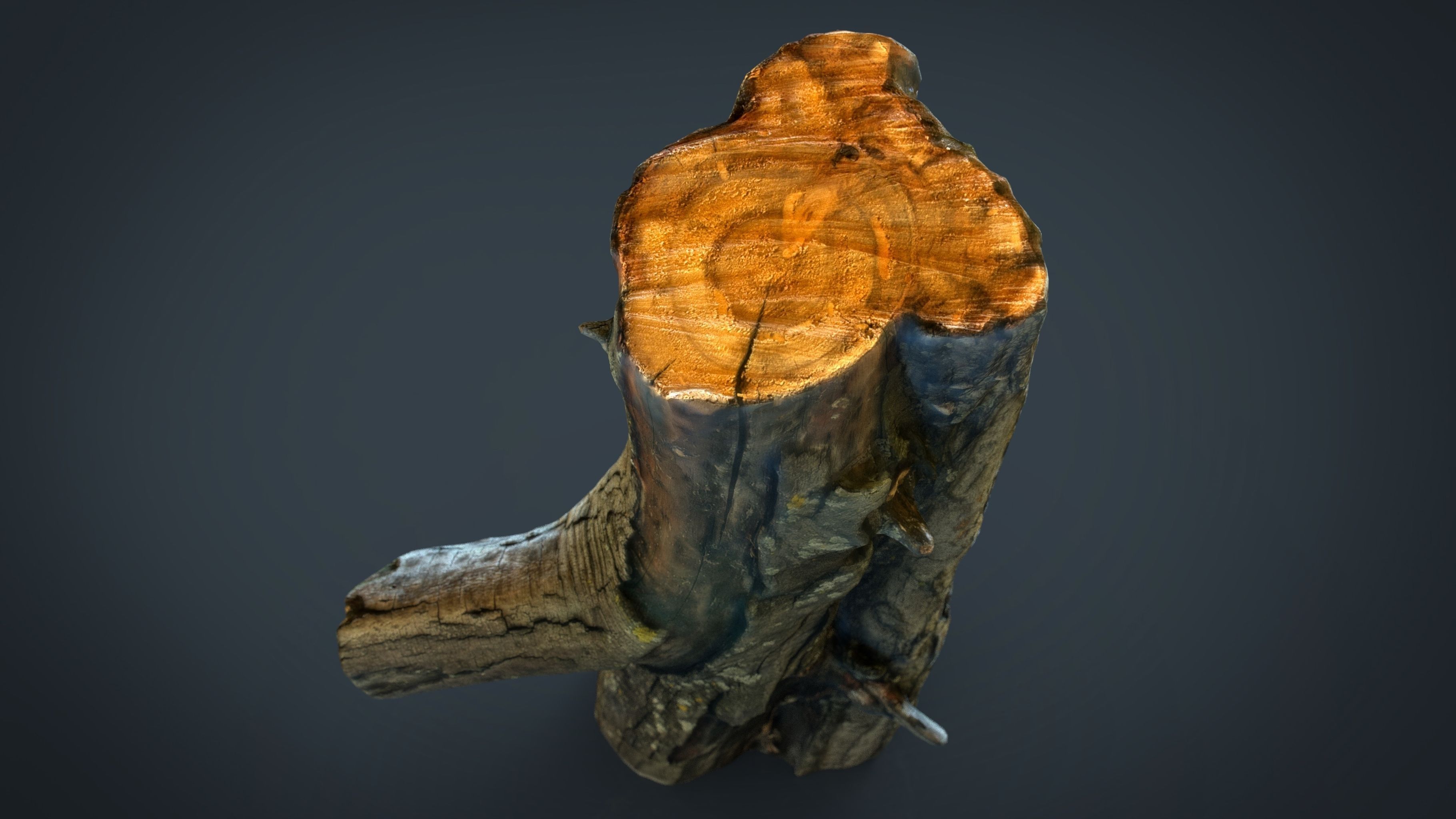 Wood Log 1 Low-poly 3D model_3