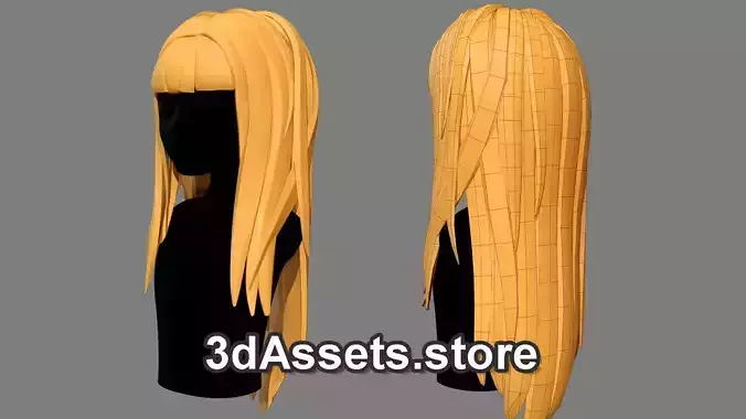 Character - Cartoon - Girl Long Hairs 08