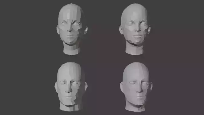 Human Heads Male Female Low-poly 3D Model