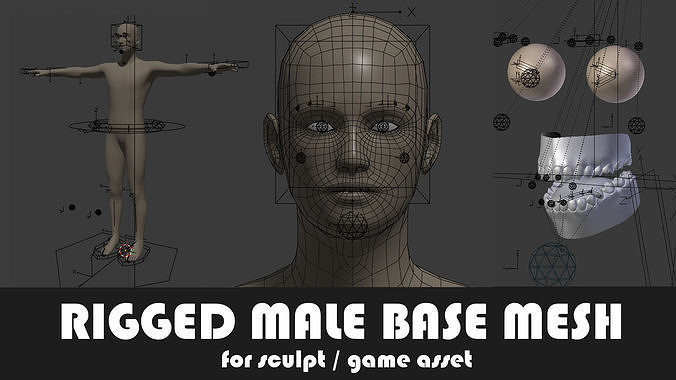 Fully Rigged Male Base Mesh with Face Rig for Blender Low-poly 3D model