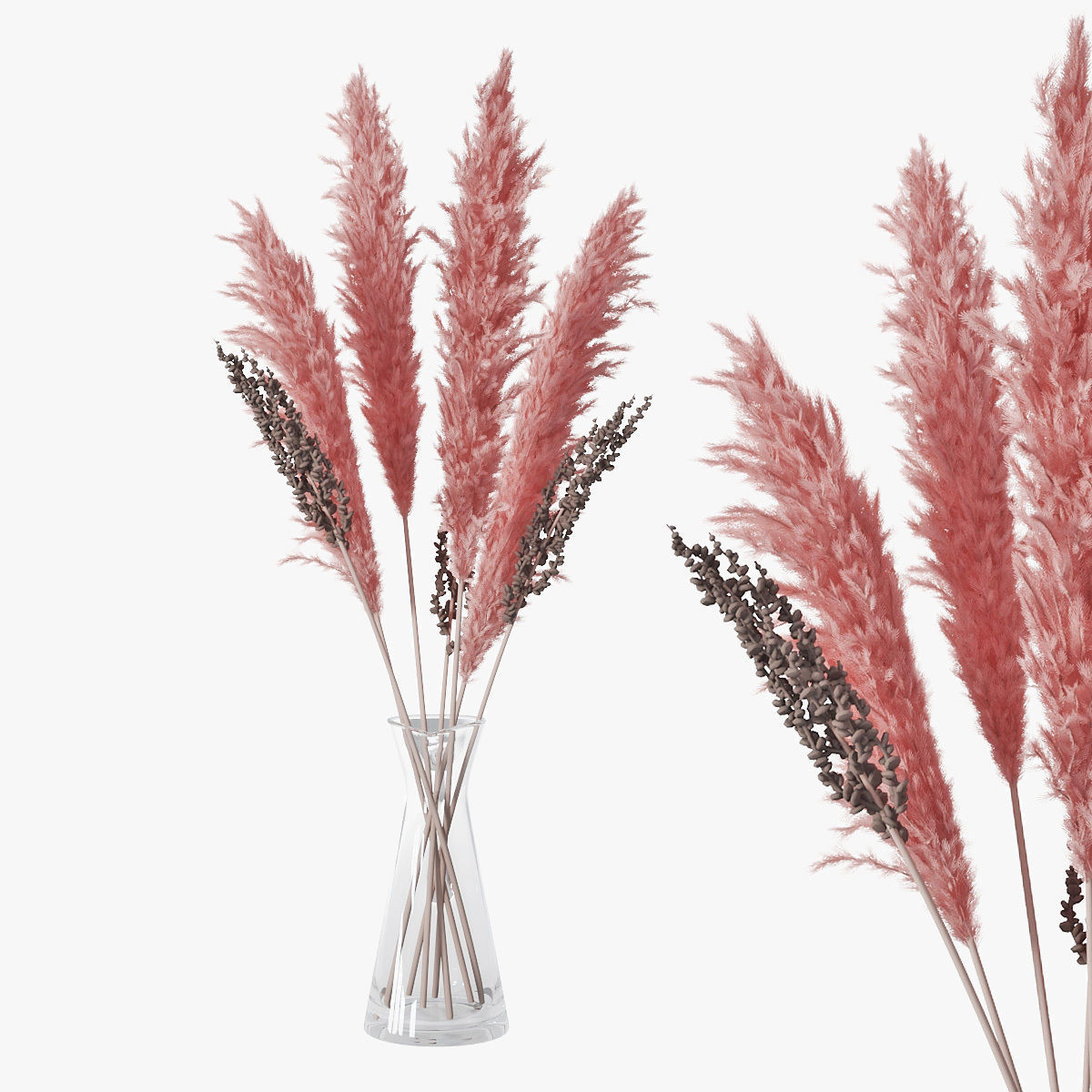 Pampas grass 04 3D model_0