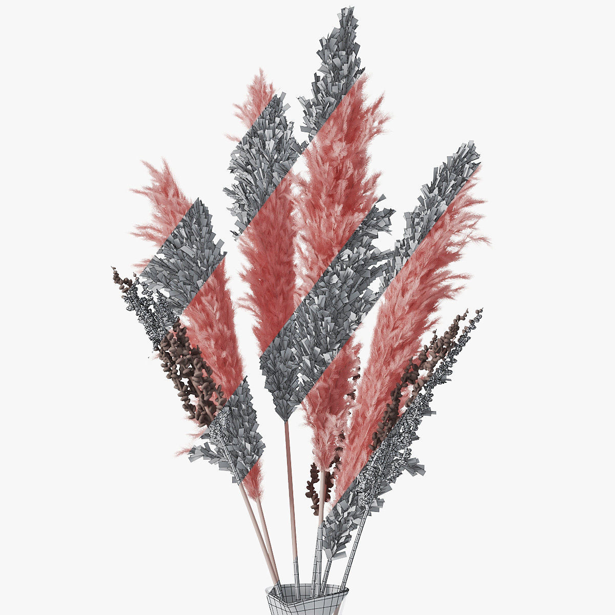 Pampas grass 04 3D model_9