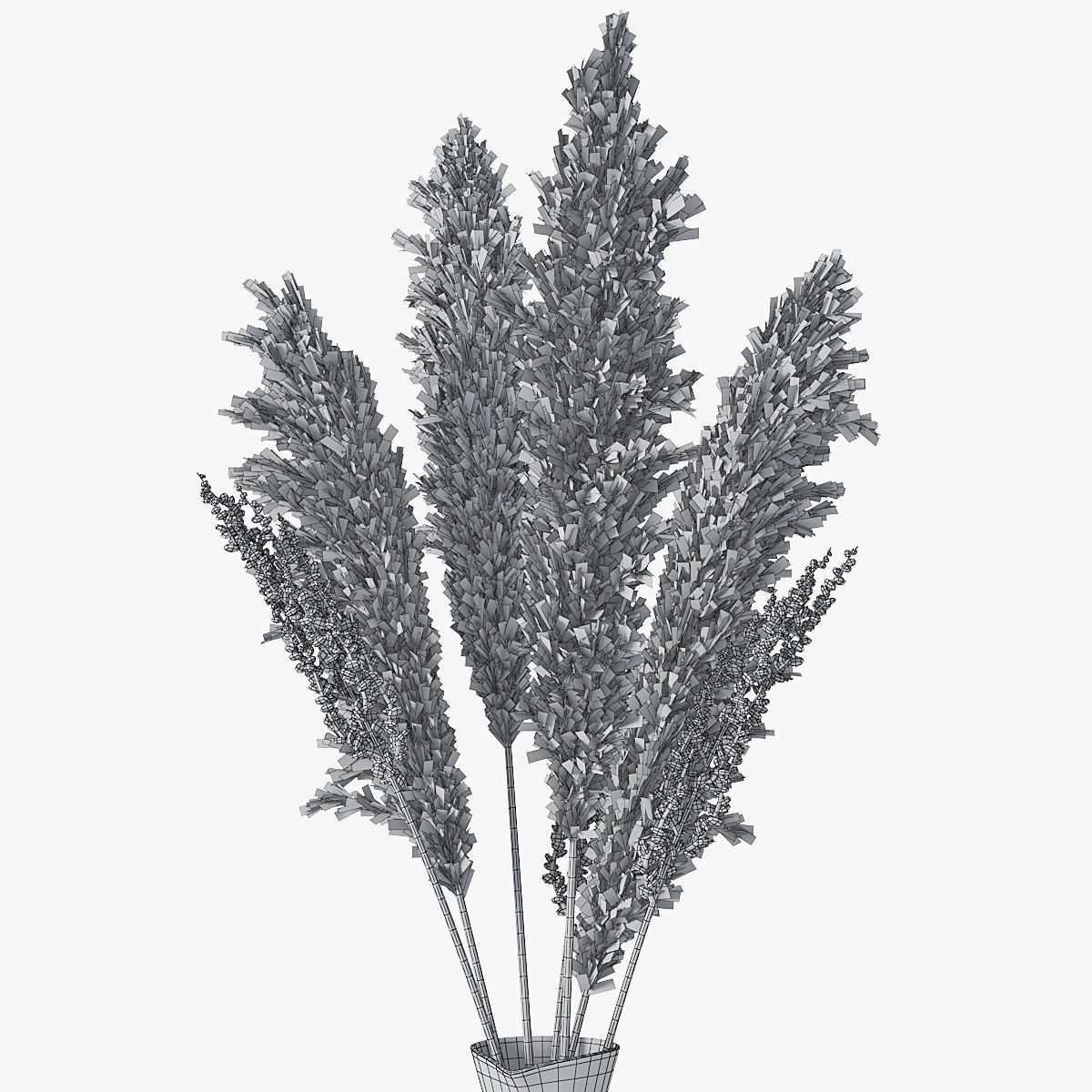 Pampas grass 04 3D model_10
