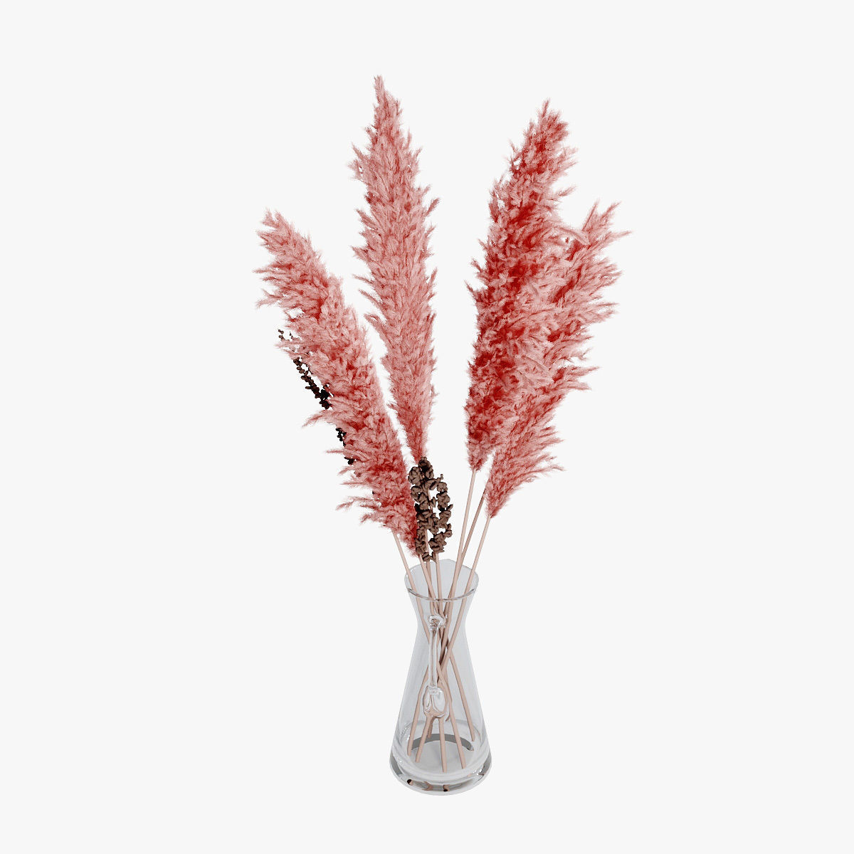 Pampas grass 04 3D model_6