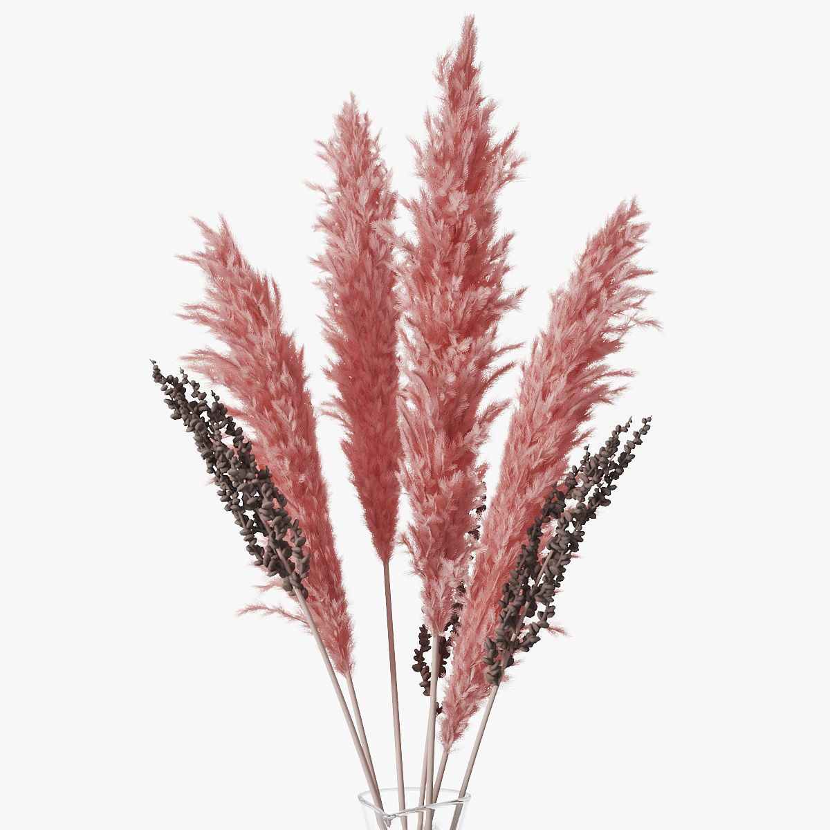 Pampas grass 04 3D model_8