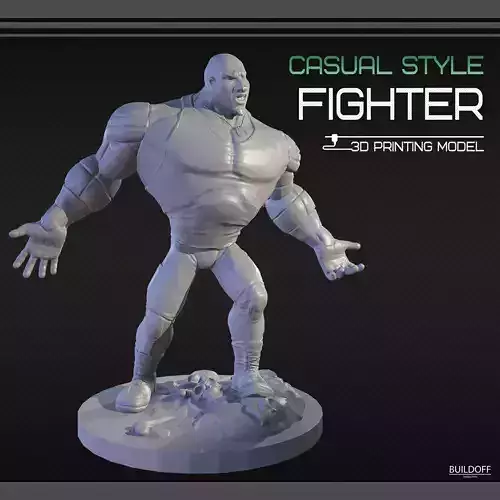 Casual style fighter 3D printing model