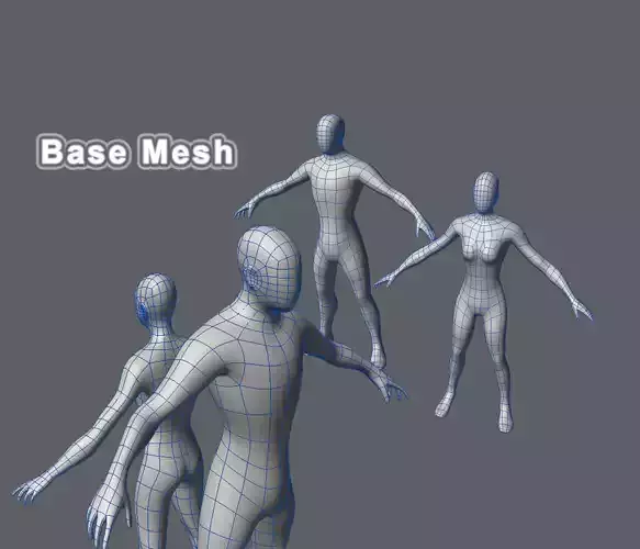 Base Mesh Male and Female